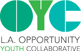 Opportunity Youth Collaboration